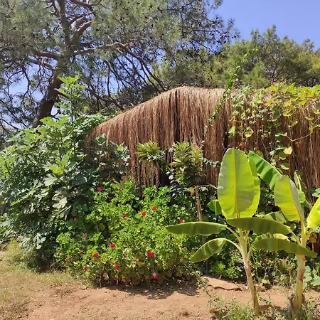 Kidrak Camping Namaste Campsite *